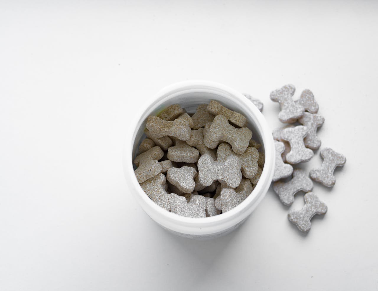 Close-up of bone-shaped dog treats in a white container on a white surface.